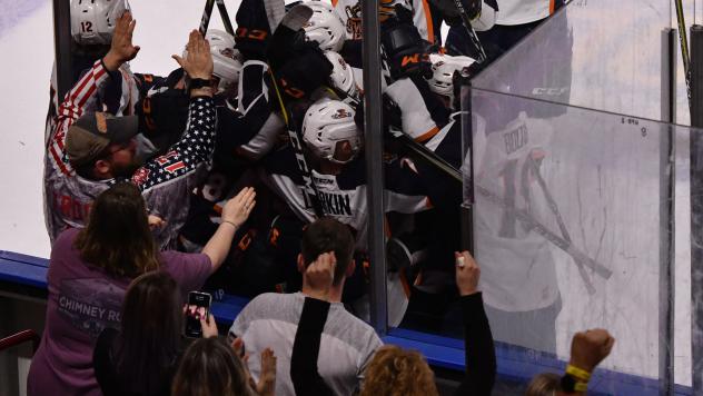 Fans celebrate a win with the Greenville Swamp Rabbits