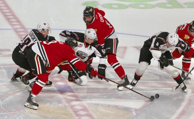 Davis Koch of the Vancouver Giants vies for the pucks against the Portland Winterhawks