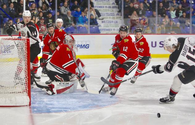 Vancouver Giants left wing Owen Hardy takes a shot against the Portland Winterhawks