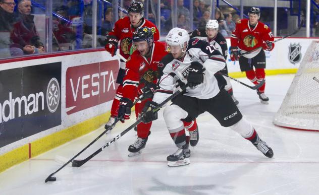 Vancouver Giants right wing Jared Dmytriw against the Portland Winterhawks