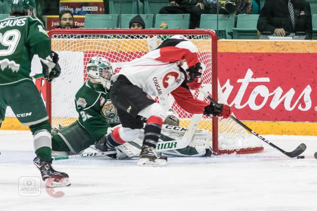 Prince George Cougars test Everett Silvertips goaltender Dustin Wolf