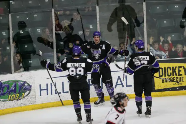 Tri-City Storm celebrates a goal against the Chicago Steel