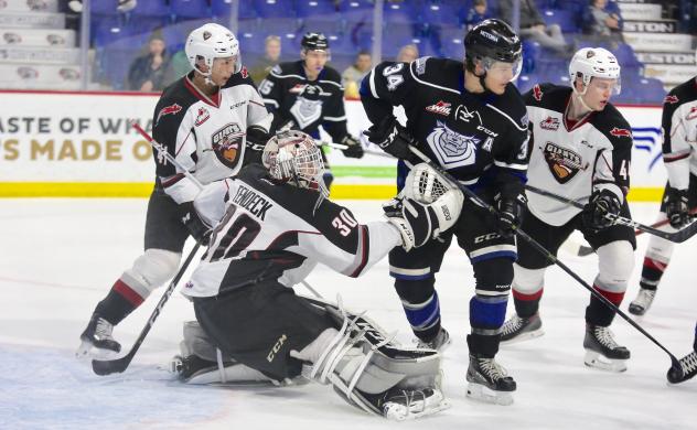 Vancouver Giants goaltender David Tendeck Keeps an eye on the Victoria Royals