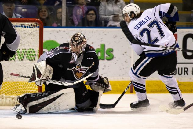 Vancouver Giants goaltender Trent Miner eyes the puck against the Victoria Royals