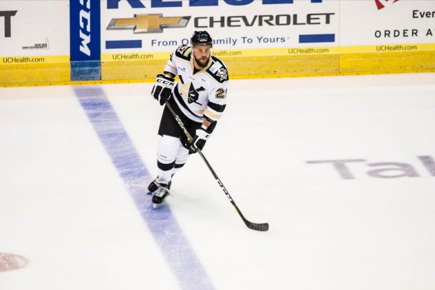 Wheeling Nailers forward Brad Drobot