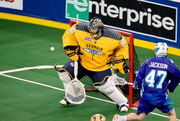 Georgia Swarm goalie Mike Poulin
