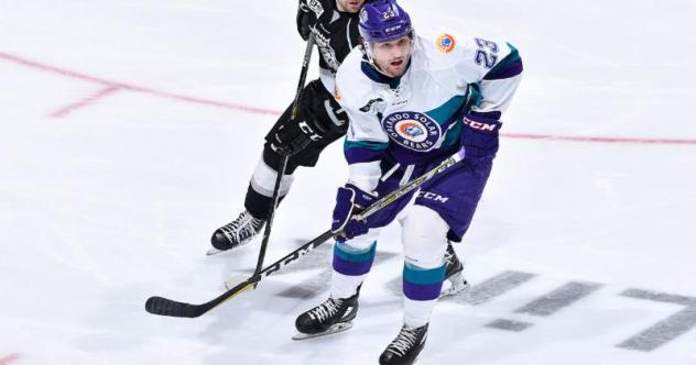 Orlando Solar Bears forward Jackson Playfair