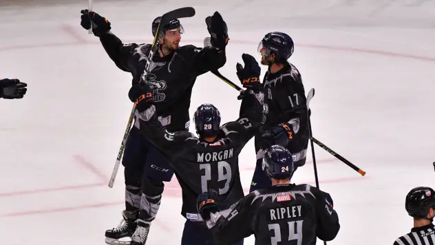 Greenville Swamp Rabbits celebrate a goal against the South Carolina Stingrays