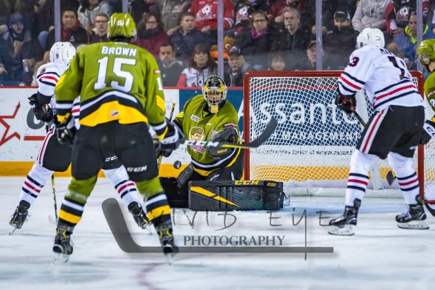 Niagara IceDogs pressure the North Bay Battalion
