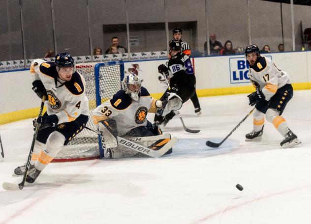 Norfolk Admirals goaltender Ty Reichenbach eyes a loose puck against the Reading Royals