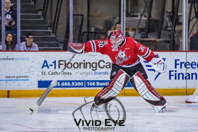 Niagara IceDogs goaltender Stephen Dhillon