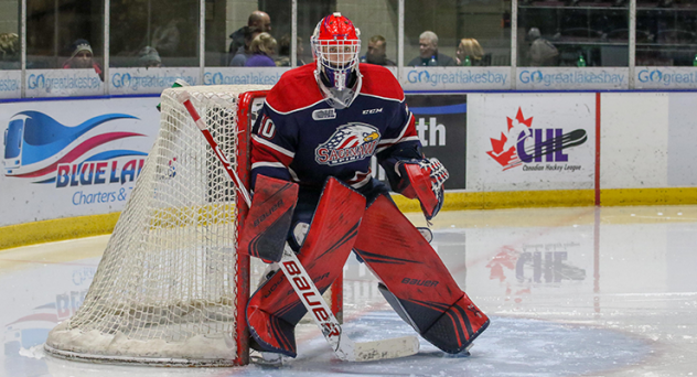 Saginaw Spirit goaltender Ivan Prosvetov