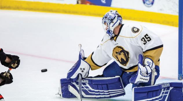 Newfoundland Growlers goaltender Eamon McAdam