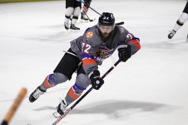 Forward Danny Cesarz with the Knoxville Ice Bears