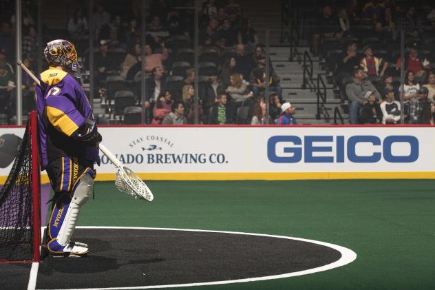 GEICO dasher at an NLL game