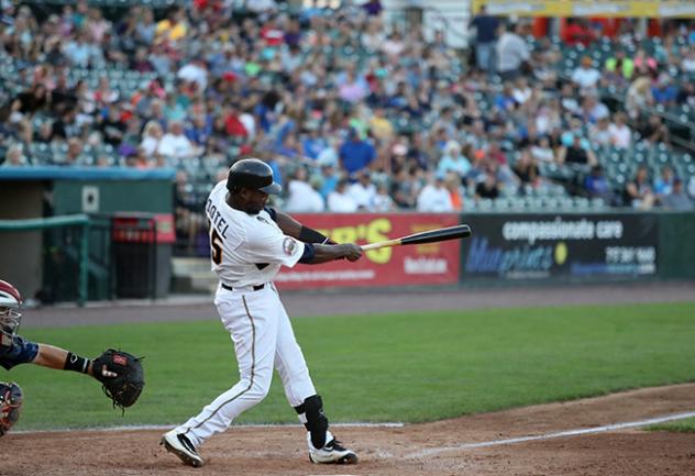 York Revolution outfielder Welington Dotel