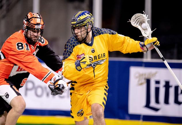 Georgia Swarm forward Holden Cattoni against the Buffalo Bandits