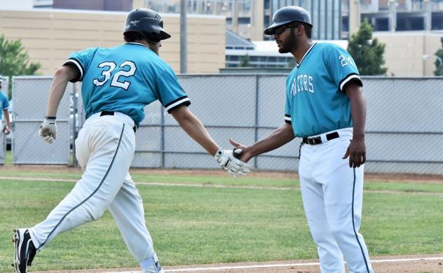 Rochester Honkers in action