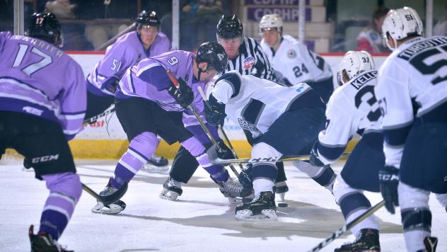 Adirondack Thunder face off with the Worcester Railers