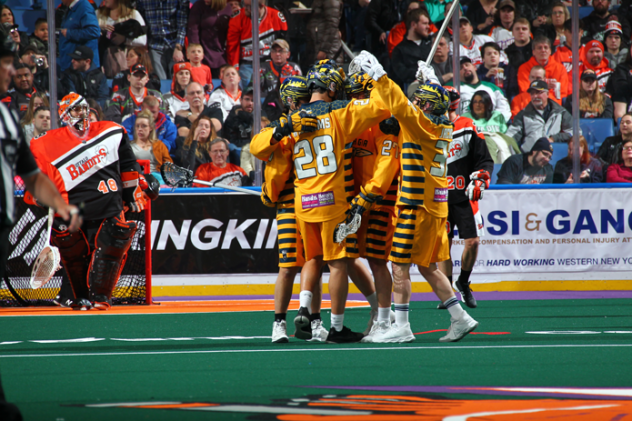 Georgia Swarm celebrate a goal against the Buffalo Bandits