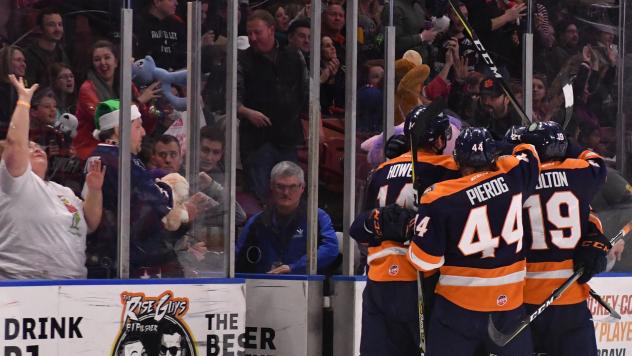 Greenville Swamp Rabbits celebrate a goal