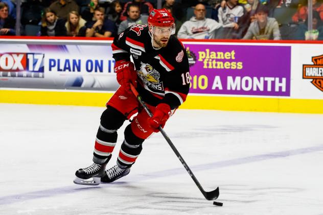 Grand Rapids Griffins defenseman Brian Lashoff