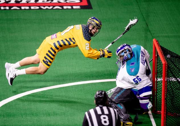 Brendan Bomberry of the Georgia Swarm dives to score a goal against the Rochester Knighthawks