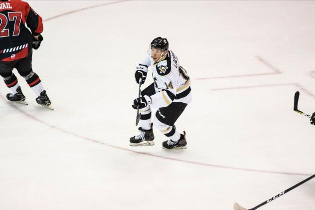 Wheeling Nailers forward Cedric Lacroix