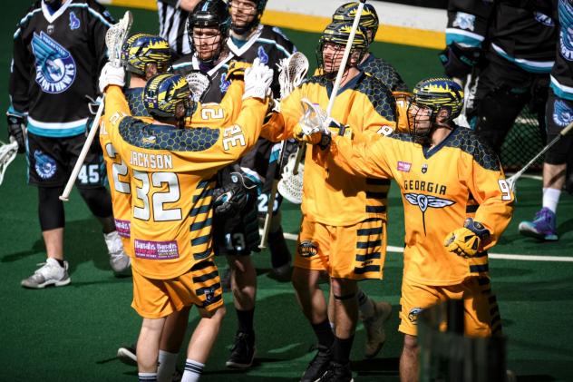 Georgia Swarm celebrate a goal against the Rochester Knighthawks