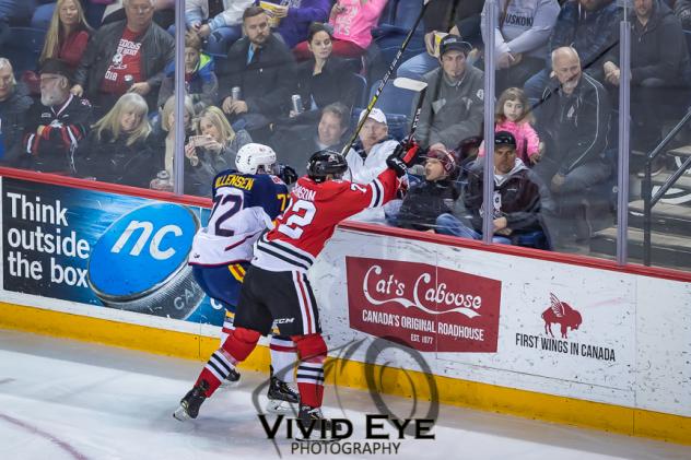 Niagara IceDogs battle the Barrie Colts along the boards