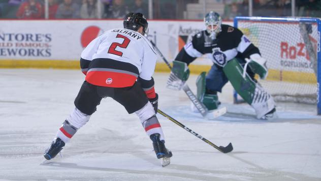 Adirondack Thunder forward Matt Salhany faces the Reading Royals