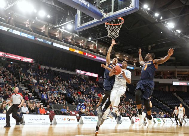 Halifax Hurricanes forward Mike Poole against the Island Storm