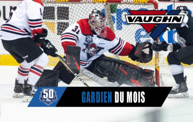 Drummondville Voltigeurs goaltender Anthony Morrone