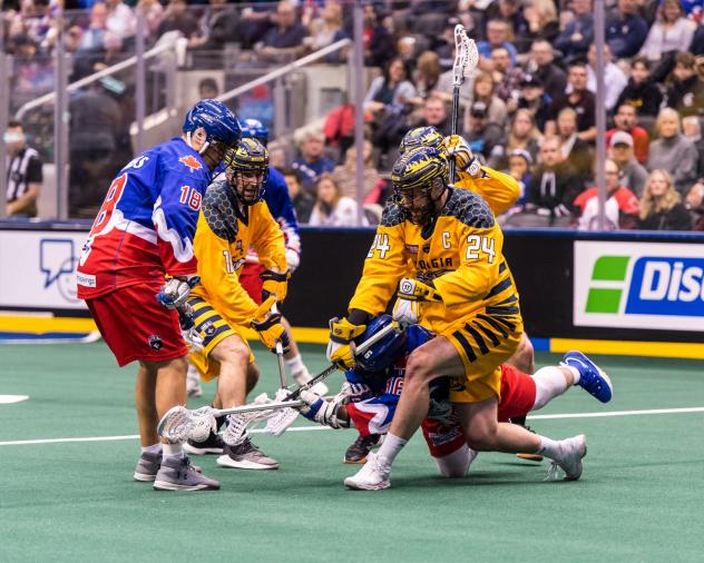 Jordan MacIntosh of the Georgia Swarm against the Toronto Rock