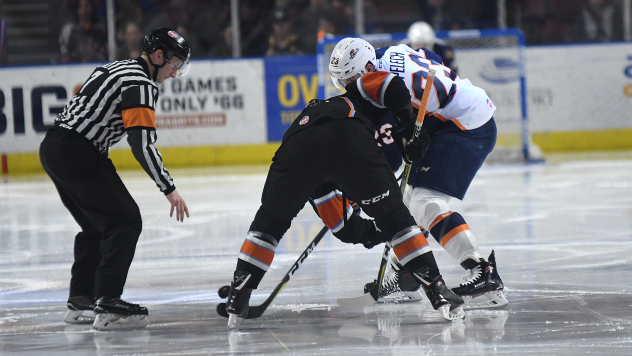 Greenville Swamp Rabbits vs. the Kansas City Mavericks