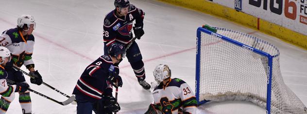 South Carolina Stingrays score against the Greenville Swamp Rabbits