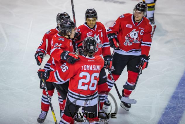 Niagara IceDogs celebrate a goal
