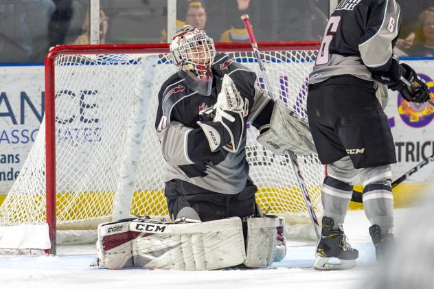 Vancouver Giants goaltender David Tendeck vs. the Seattle Thunderbirds