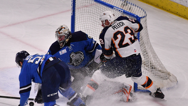 Greenville Swamp Rabbits forward Michael Pelech vs. the Jacksonville IceMen