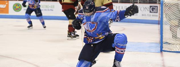 South Carolina Stingrays celebrate a goal