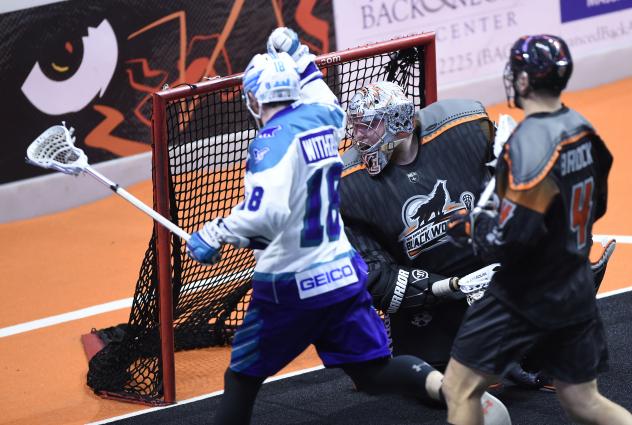 Jake Withers of the Rochester Knighthawks scores against the New England Black Wolves