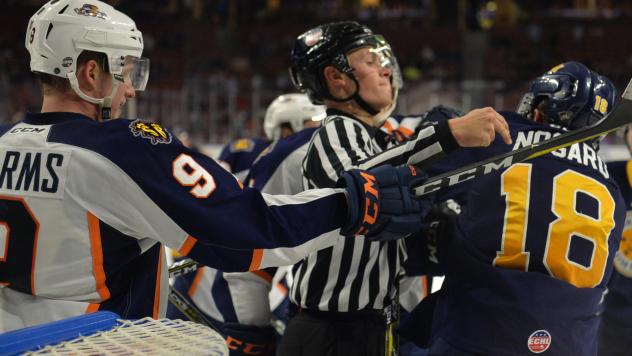 Greenville Swamp Rabbits battle the Norfolk Admirals