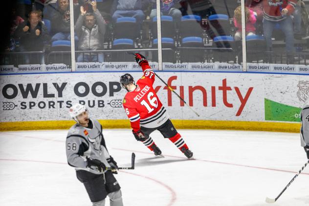 Will Pelletier of the Rockford IceHogs celebrates his first of two goals vs. the San Antonio Rampage