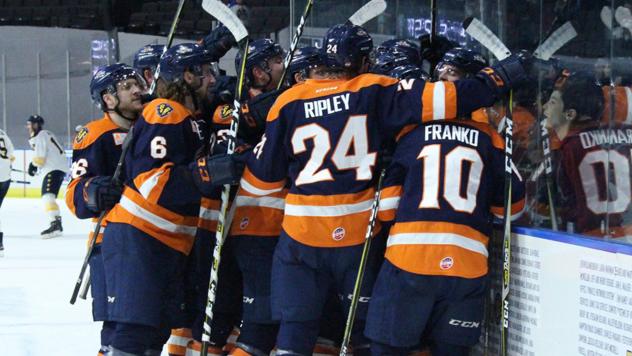 Greenville Swamp Rabbits celebrate a goal