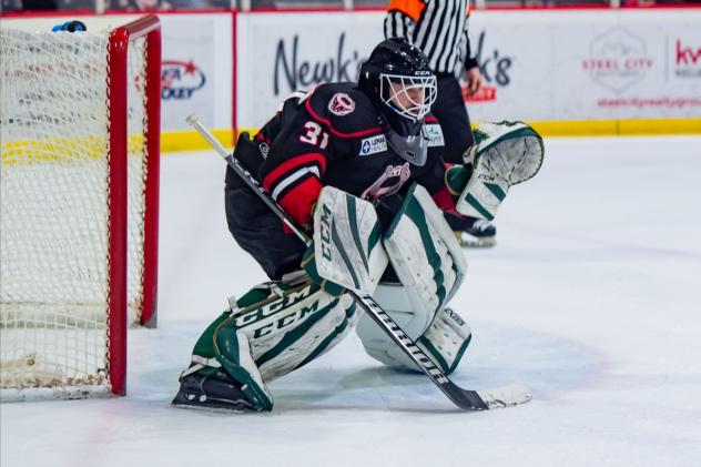 Birmingham Bulls goaltender Sebastian Andersson