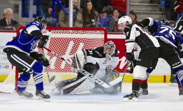 Vancouver Giants goaltender Trent Miner stonewalls the Victoria Royals