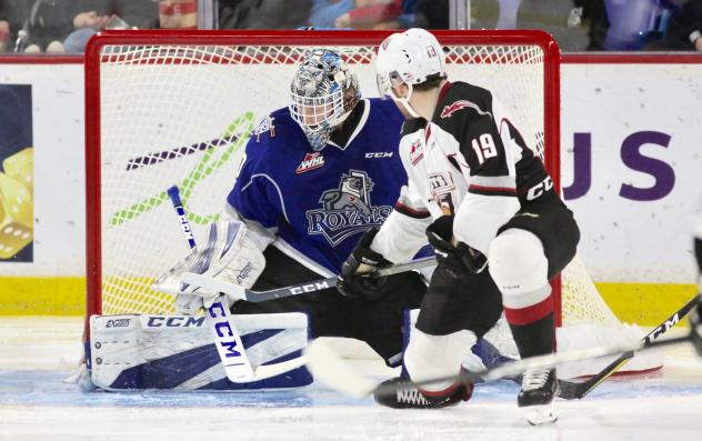 Vancouver Giants centre Dawson Holt pressures the Victoria Royals