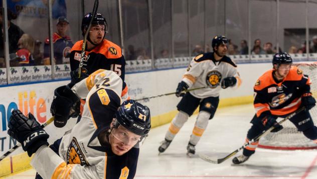 Greenville Swamp Rabbits battle the Norfolk Admirals