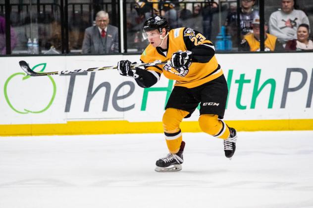 Wheeling Nailers forward Michael Phillips