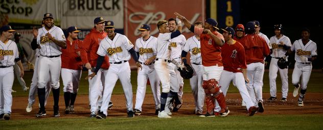 Burlington Bees celebrate a walk off win